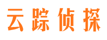 河南市场调查